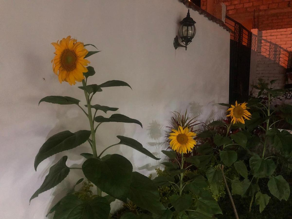 Hostel Las Palmas Vilcabamba Esterno foto