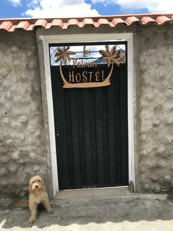 Hostel Las Palmas Vilcabamba Esterno foto